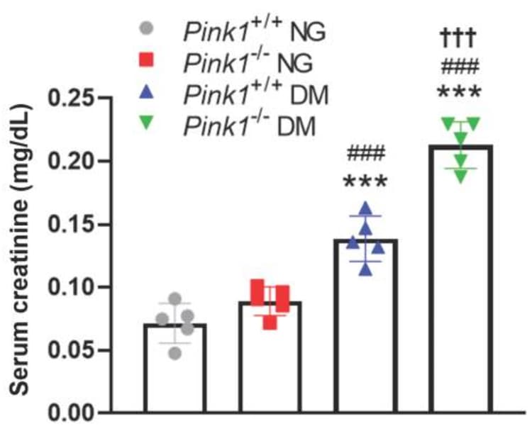 Creatinine Assay Kit(AB65340)