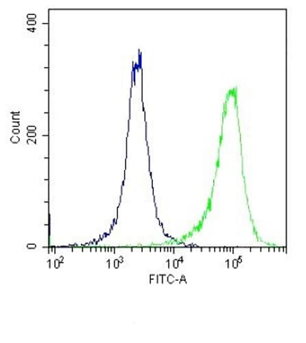 Anti-TLR4 antibody(AB13556)