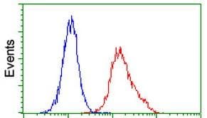 Anti-ITM2B antibody [OTI1C11](AB119044)