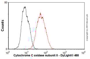 Anti-MTCO2 antibody [EPR3314] - BSA and Azide free(AB239889)