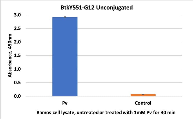 Btk Phospho Y551 Antibody Btky551 G12 Ab278611  Elisa Img105266