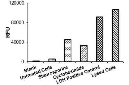 LDH-Cytotoxicity Assay Kit (Fluorometric)(AB197004)