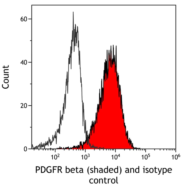 Anti-PDGFR beta antibody [BLR081G] - BSA free(AB314096)