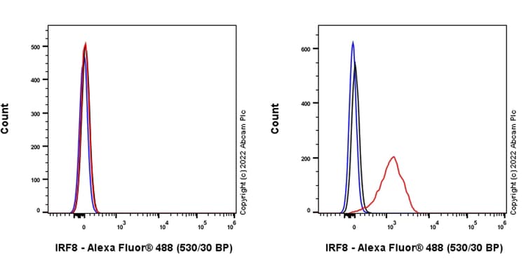 Anti-IRF8 antibody [EPR26382-10] - BSA and Azide free(AB306553)