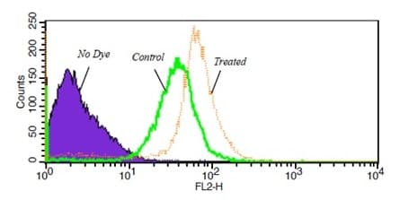 Senescence Assay Kit (Beta Galactosidase, Fluorescence)(AB228562)