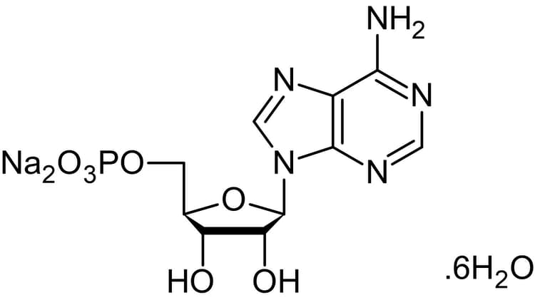 Adenosine 5 Monophosphate Amp Disodium Hexahydrate Ampk Activator Ab146538  Chemical Structure Img171475