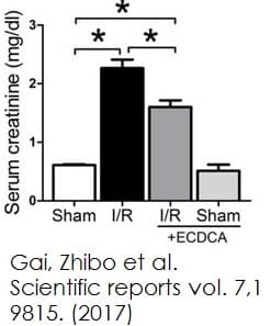 Creatinine Assay Kit(AB65340)