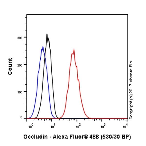 Anti-Occludin antibody [EPR20992](AB216327)