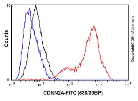 Anti-CDKN2A/p16INK4a antibody [EPR1473] - BSA and Azide free(AB186932)