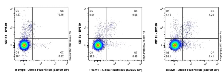 Anti-TREM1 antibody [EPR26206-72](AB300461)