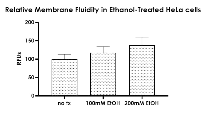 Membrane fluidity kit(AB189819)