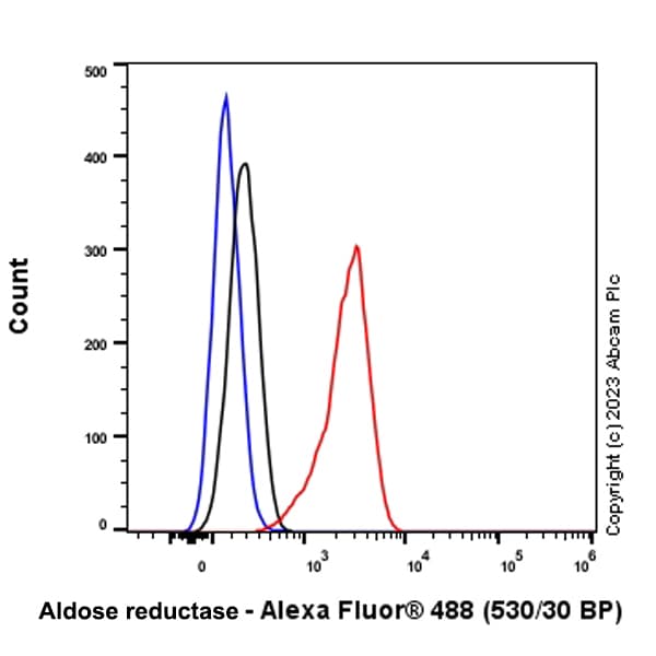 Anti-Aldose reductase antibody [EPR28780-7] - BSA and Azide free(AB316017)