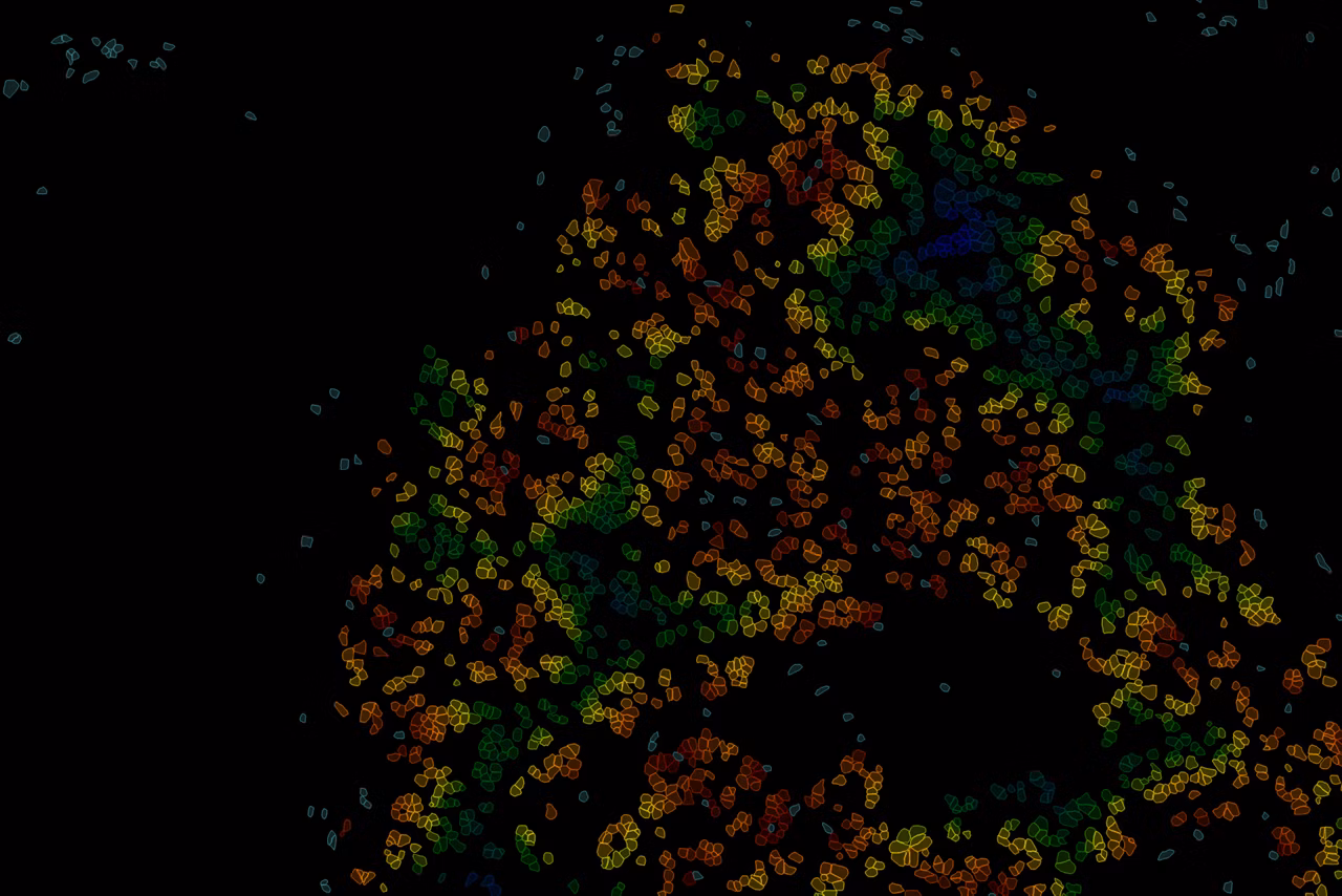 Heatmap Of Nearest Neighbor Aivia Software Kid21764918