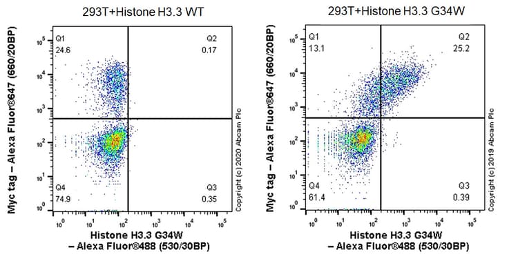 Human Histone H3.3 (Mutated G34W, G34V, G34R) Antibody Panel(AB274410)