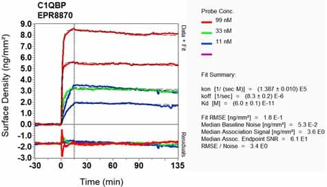Gc1q R Antibody Epr8870 Ab134926  Oi Rd Scanning Img98489