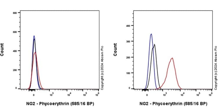 PE Anti-NG2 antibody [EPR23752-147](AB317593)