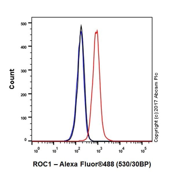 Anti-RBX1 antibody [EPR20185](AB221548)