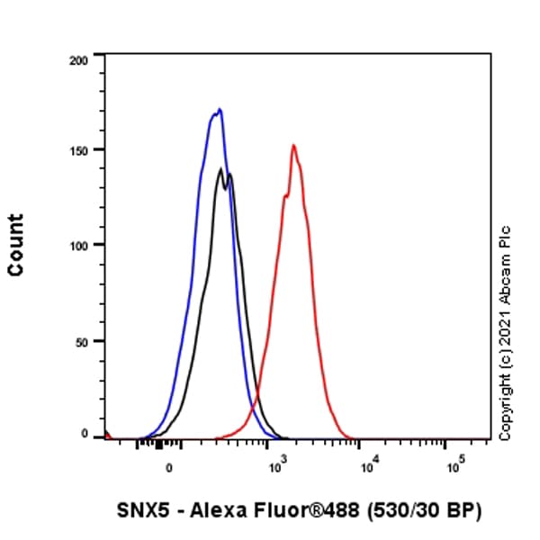 Snx5 Antibody Epr14358 Bsa And Azide Free Ab250218  Flow Cytometry Img180768