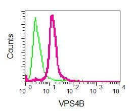 Vps4b Mig1 Antibody Epr9225 Bsa And Azide Free Ab248775  Flow Cytometry Intracellular Img13249