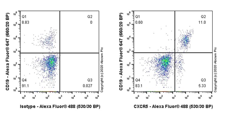 Cxcr5 Antibody Epr23463 30 Ab254415  Flow Cytometry Img118995