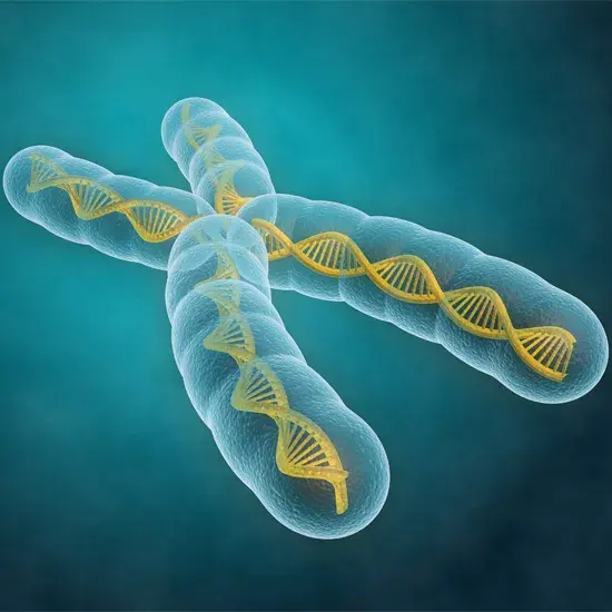 GenomeLab GeXP™ System