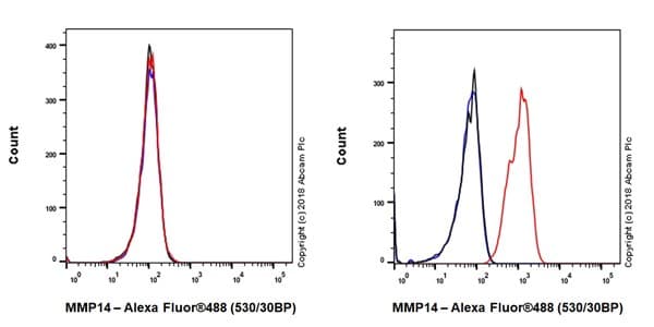 Anti-MMP14 antibody [EP1264Y](AB51074)