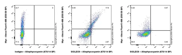 APC Rabbit IgG, monoclonal [EPR25A] - Isotype Control(AB232814)