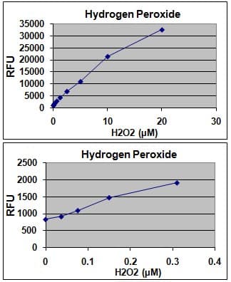 DCF ROS/RNS Assay Kit (biofluids, culture supernatant, cell lysates)(AB238535)