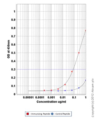 Anti-Adipose Triglyceride Lipase (phospho S406) antibody(AB135093)