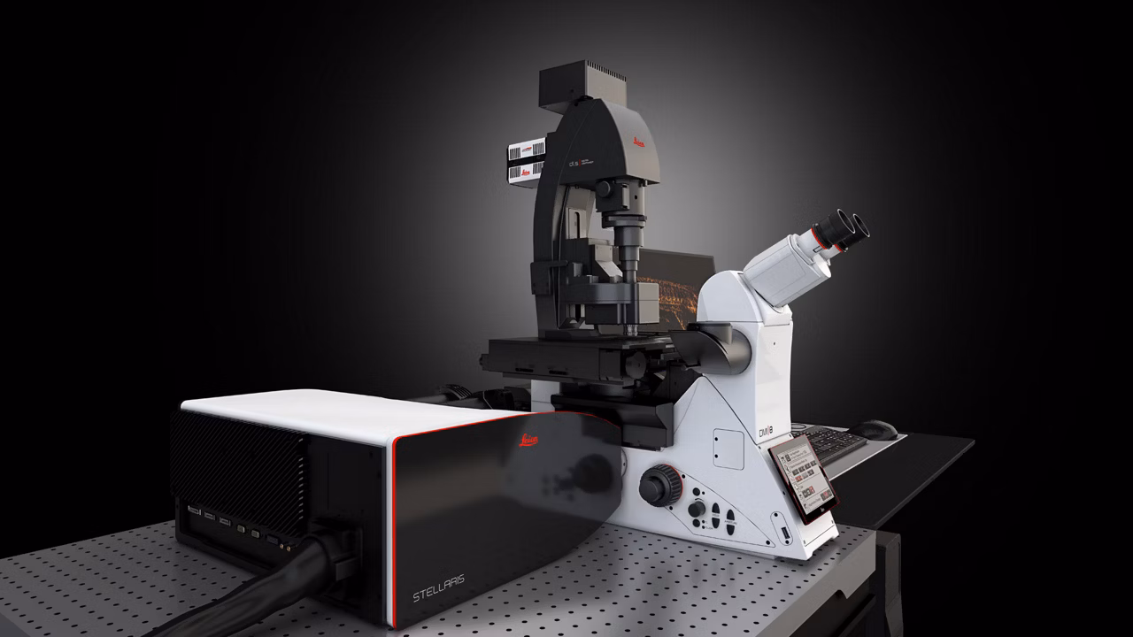 Stellaris DLS Confocal Header Kid21775029