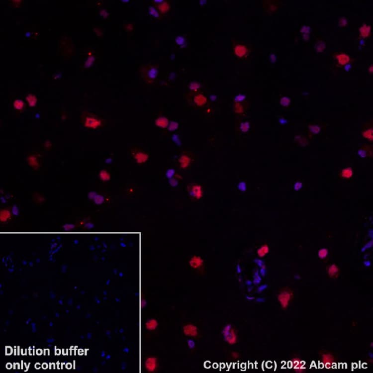 Antigen Retrieval Buffer (100X Tris-EDTA Buffer, pH 9.0)(AB93684)