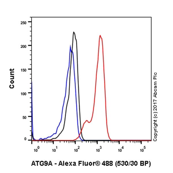 Anti-ATG9A antibody [EPR2450(2)](AB108338)