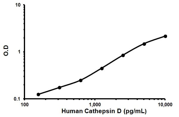 Human Cathepsin D ELISA Kit(AB119586)