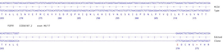 Human Fgfr1 Knockout U 87 Mg Cell Line Ab306662  Next Generation Sequencing Img427546