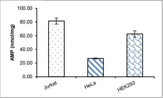 AMP Assay Kit (Colorimetric)(AB273275)