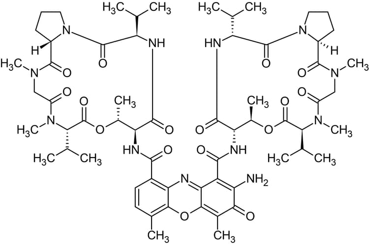 Actinomycin D (Dactinomycin), Nucleic acid and protein synthesis inhibitor(AB141058)