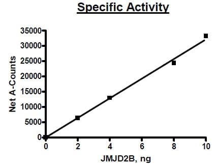 Ab198159  Functional Studies Img11806