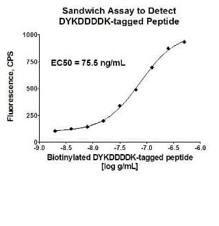 PE Anti-DDDDK tag (Binds to FLAG® tag sequence) antibody [M2](AB72469)