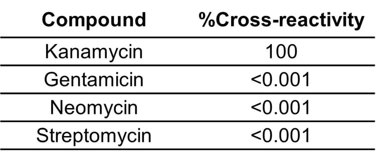 Anti-Kanamycin antibody [EPR27987-32] - BSA and Azide free(AB314922)