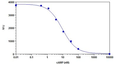 cAMP Assay Kit (Competitive ELISA, Fluorometric)(AB138880)