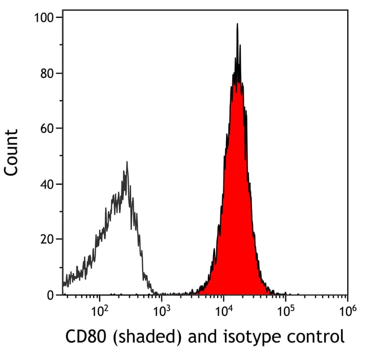 Anti-CD80 antibody [BLR237K] - BSA free(AB314098)