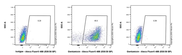 Gentamicin Antibody Epr27991 65 Bsa And Azide Free Ab314127  Flow Cytometry Intracellular Img419907