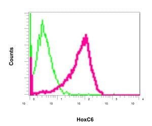 Hoxc6 Antibody Epr79222 Ab151575  Flow Cytometry Intracellular Img50769