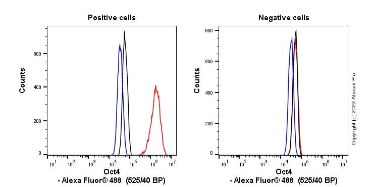 Anti-Oct4 antibody [EPR17929] - ChIP Grade - BSA and Azide free(AB271937)