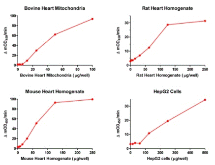 Pyruvate dehydrogenase (PDH) Enzyme Activity Microplate Assay Kit(AB109902)