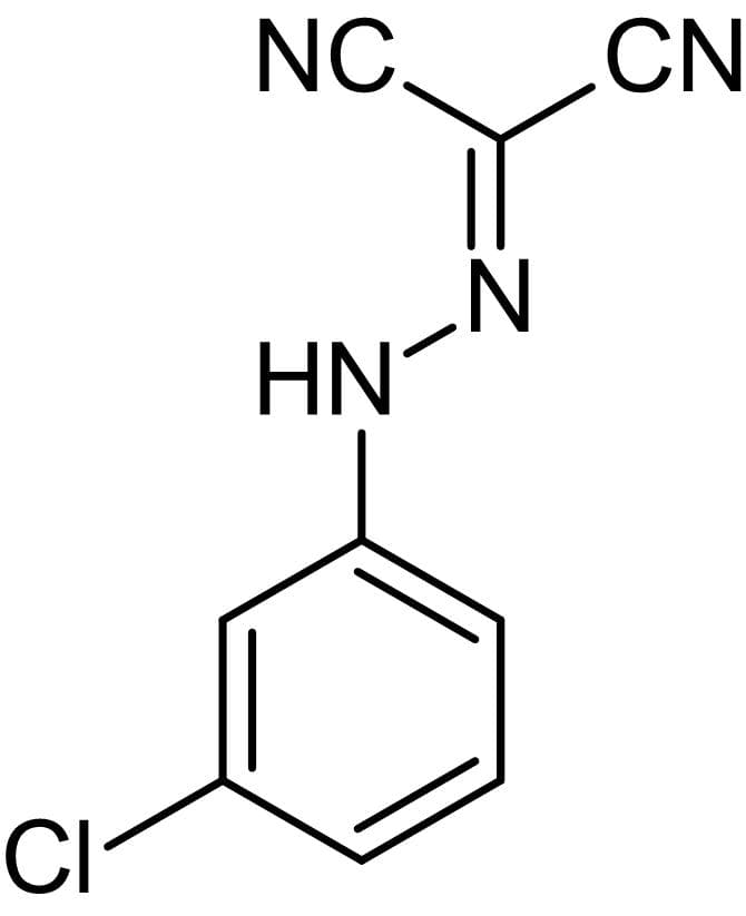 CCCP, Mitochondrial oxidative phosphorylation uncoupler(AB141229)