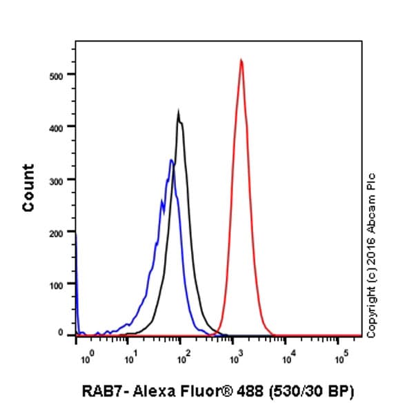 Anti-RAB7 antibody [EPR7589](AB137029)