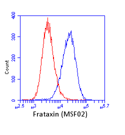 Anti-Frataxin antibody [17A11](AB113691)