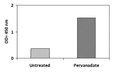 Phosphotyrosine STAT4 ELISA Kit(ab279942)