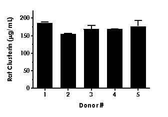 Rat Clusterin ELISA Kit(AB231934)
